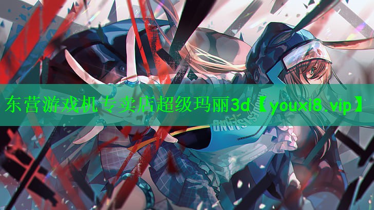 东营游戏机专卖店超级玛丽3d