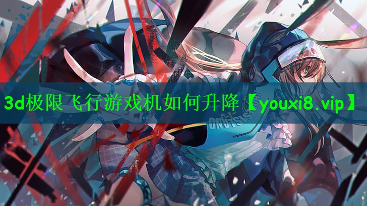 3d极限飞行游戏机如何升降